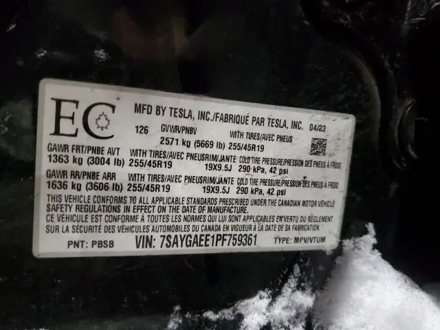 2023 TESLA MODEL Y   
