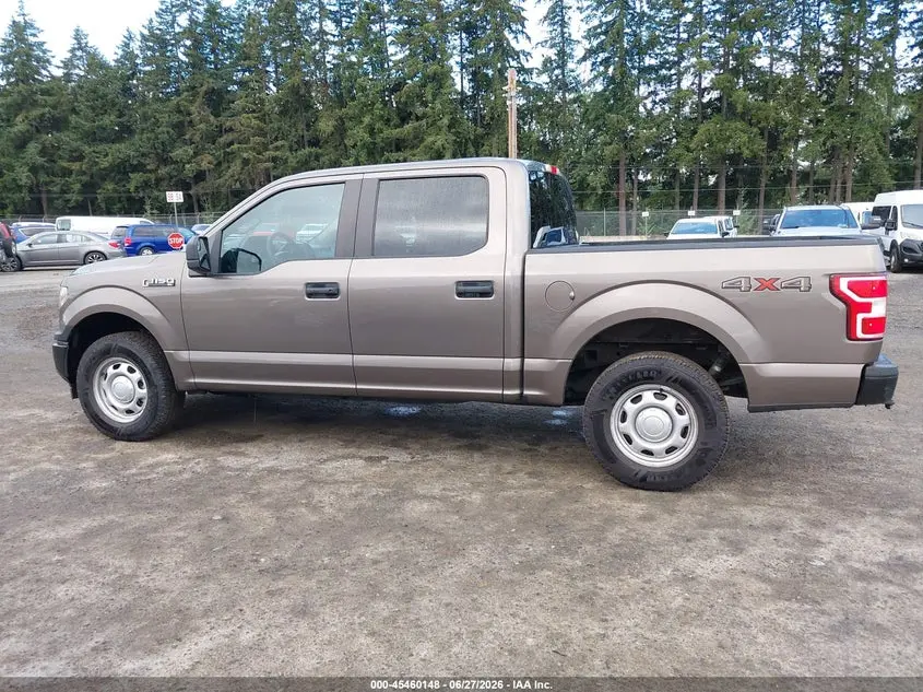 2020 FORD F-150 XL/XLT