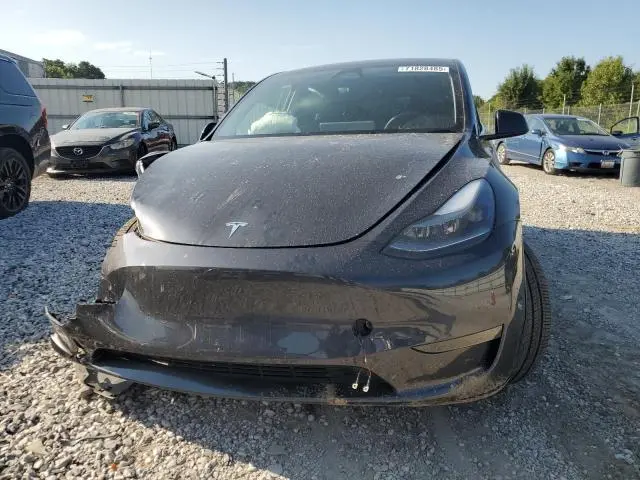 2025 TESLA MODEL Y