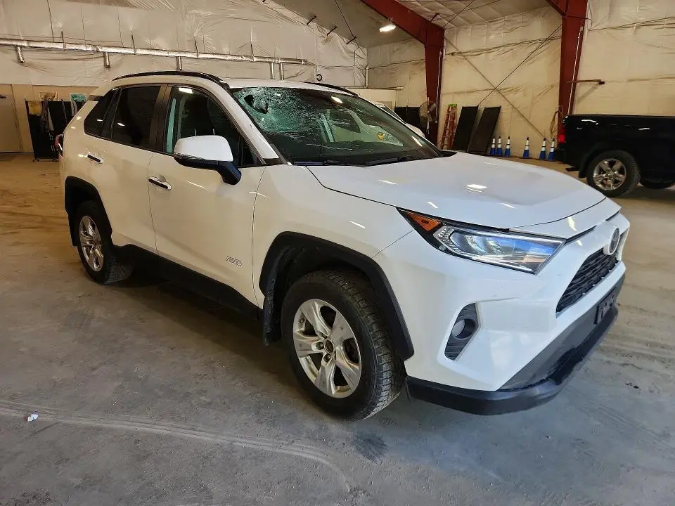 2019 TOYOTA RAV4 XLE  
