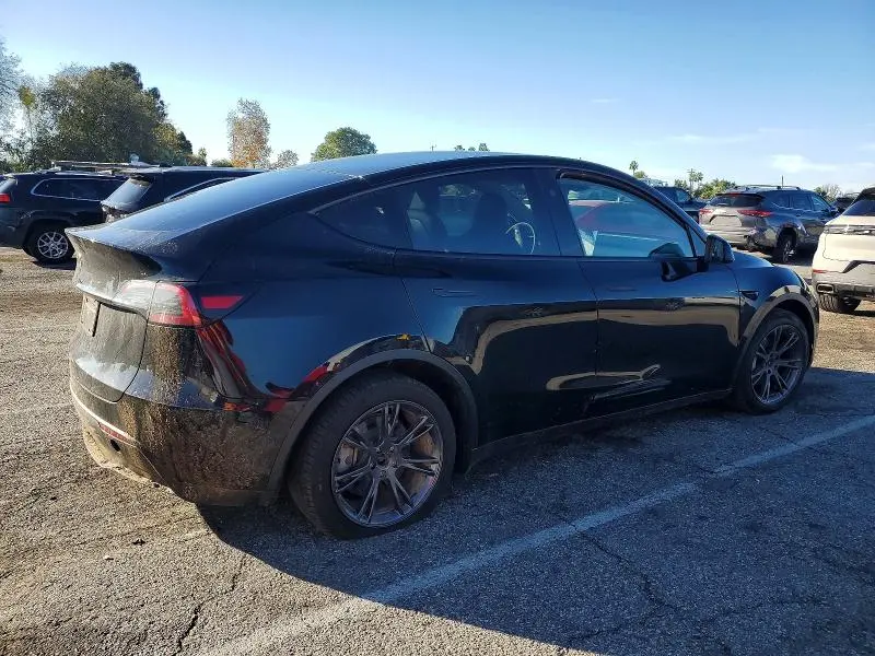 2025 TESLA MODEL Y   