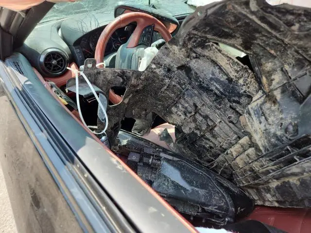 2019 NISSAN GT-R PURE  