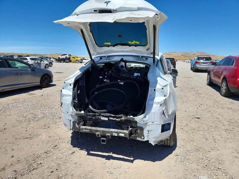 2025 TESLA MODEL Y   