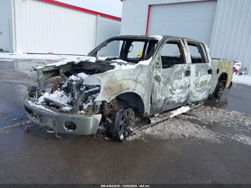 2010 FORD F-150 FX4/HARLEY-DAVIDSON/KING RANCH/LARIAT/PLATINUM/XL/XLT