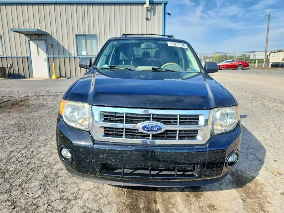 2010 FORD ESCAPE XLT  