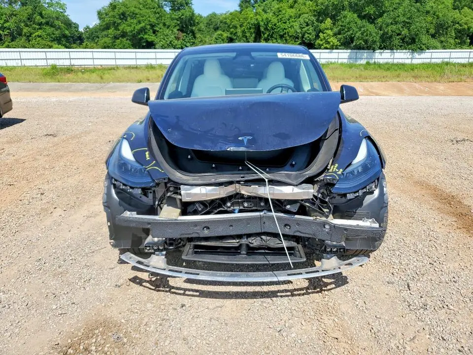 2025 TESLA MODEL Y   