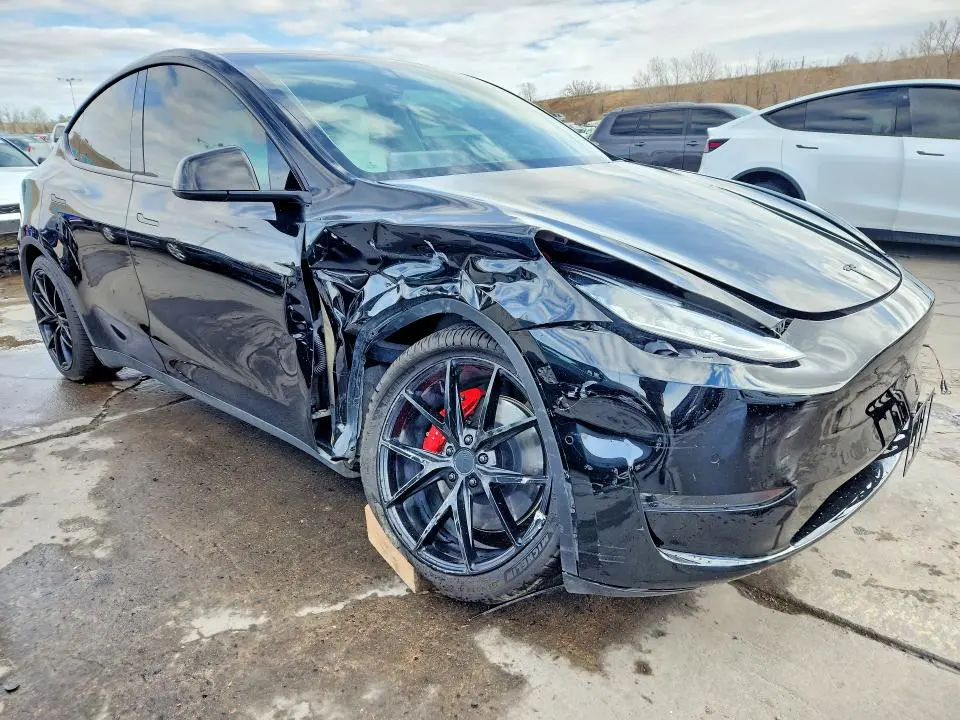 2020 TESLA MODEL Y   