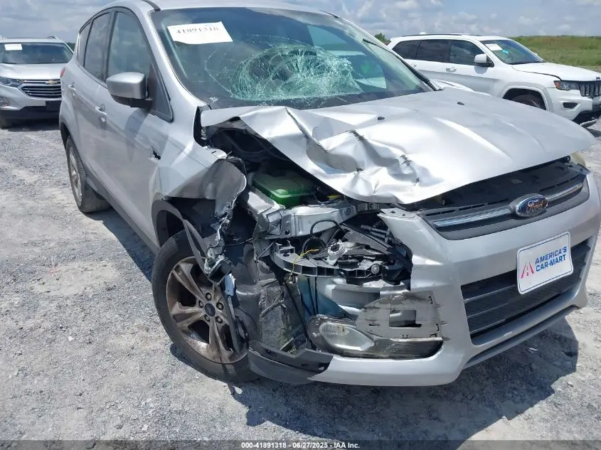 2014 FORD ESCAPE SE
