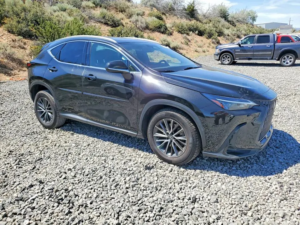 2023 LEXUS NX 350  