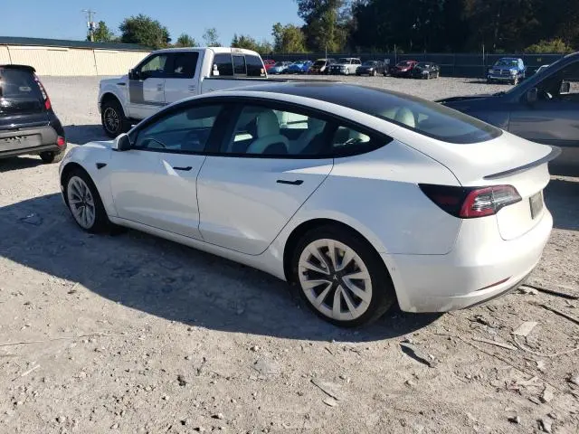 2021 TESLA MODEL 3   