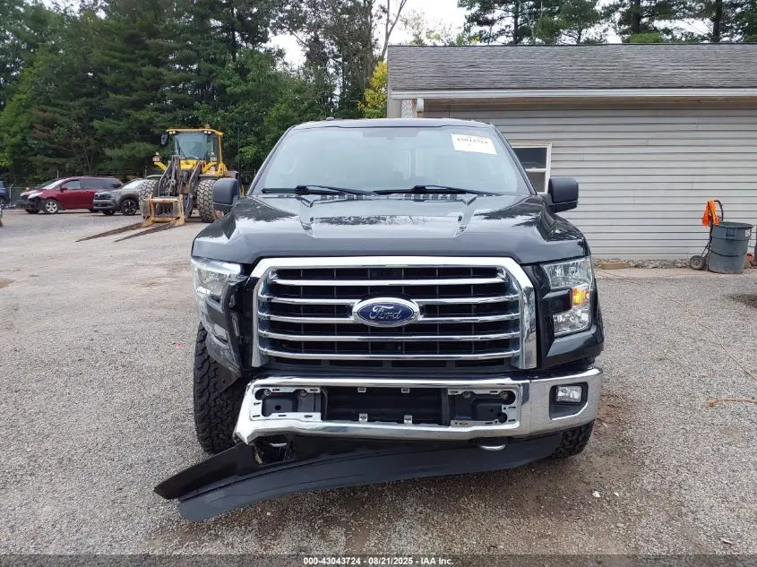 2015 FORD F-150 XLT