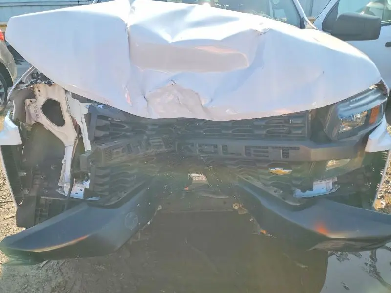 2020 CHEVROLET SILVERADO C1500  