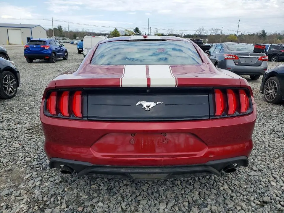 2019 FORD MUSTANG   