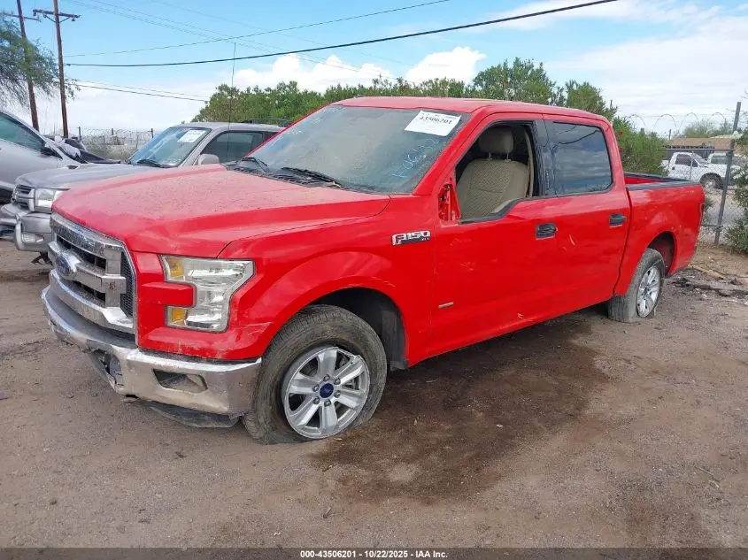 2015 FORD F-150 XLT