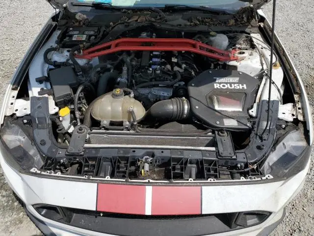 2019 FORD MUSTANG   