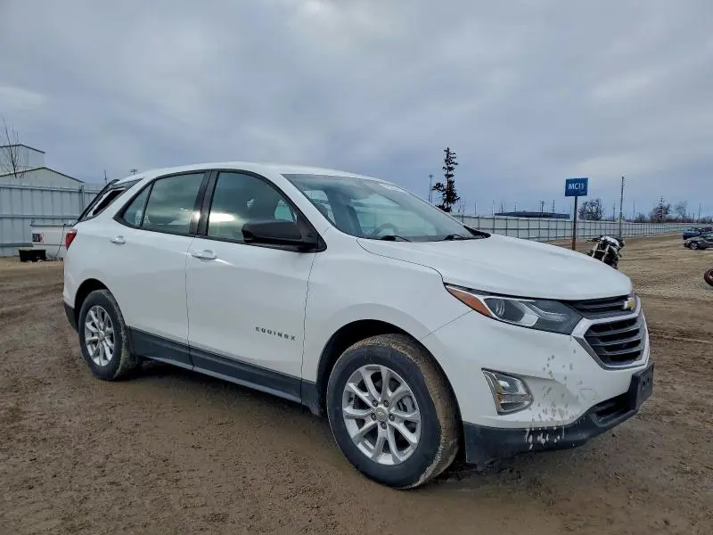 2019 CHEVROLET EQUINOX LS  