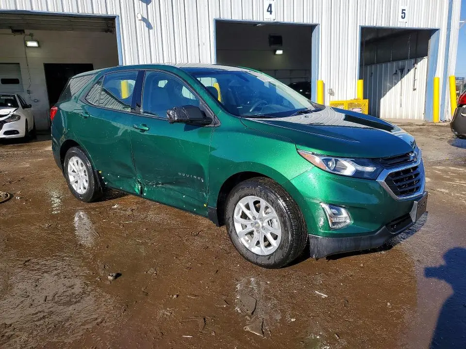 2019 CHEVROLET EQUINOX LS  