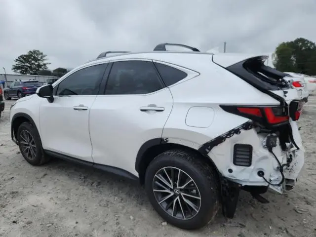 2025 LEXUS NX 250 BASE  