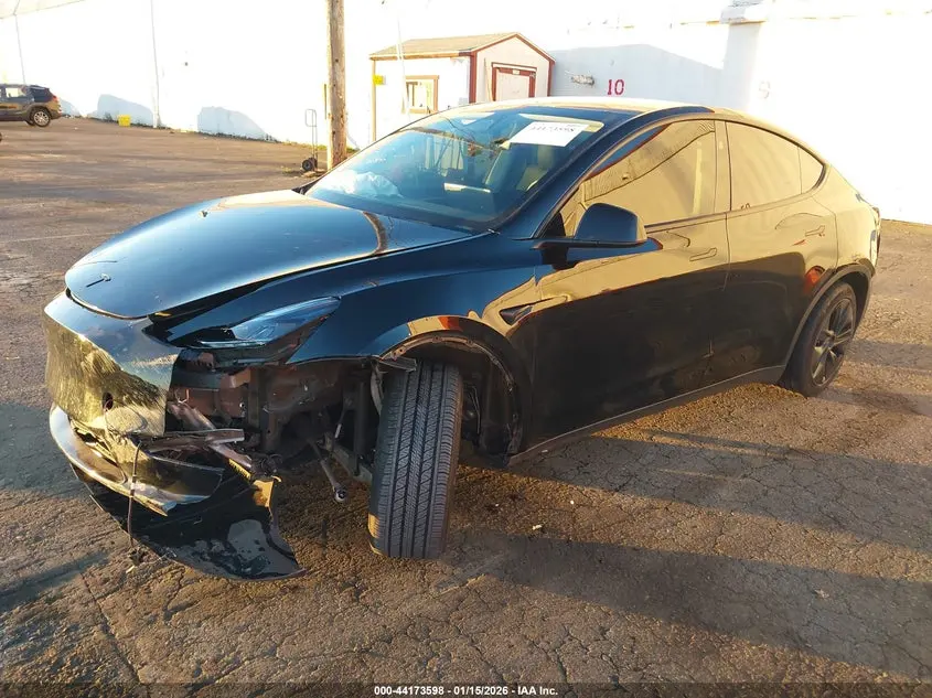 2024 TESLA MODEL Y RWD