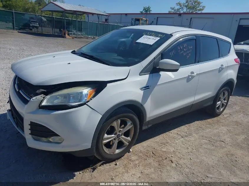 2014 FORD ESCAPE SE