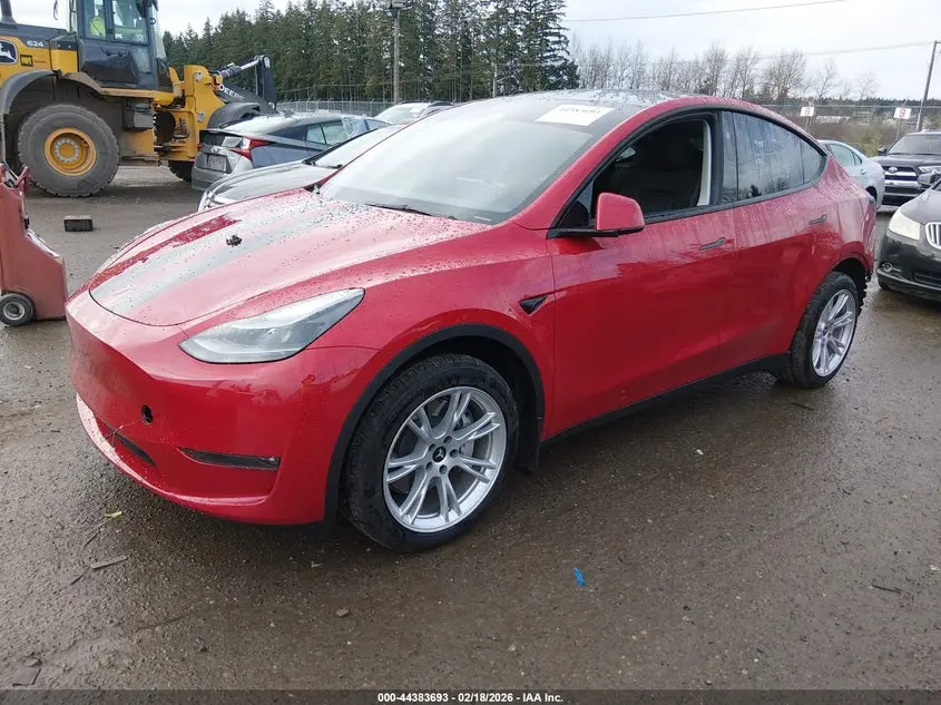 2023 TESLA MODEL Y  