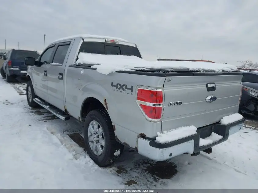 2014 FORD F-150 XLT