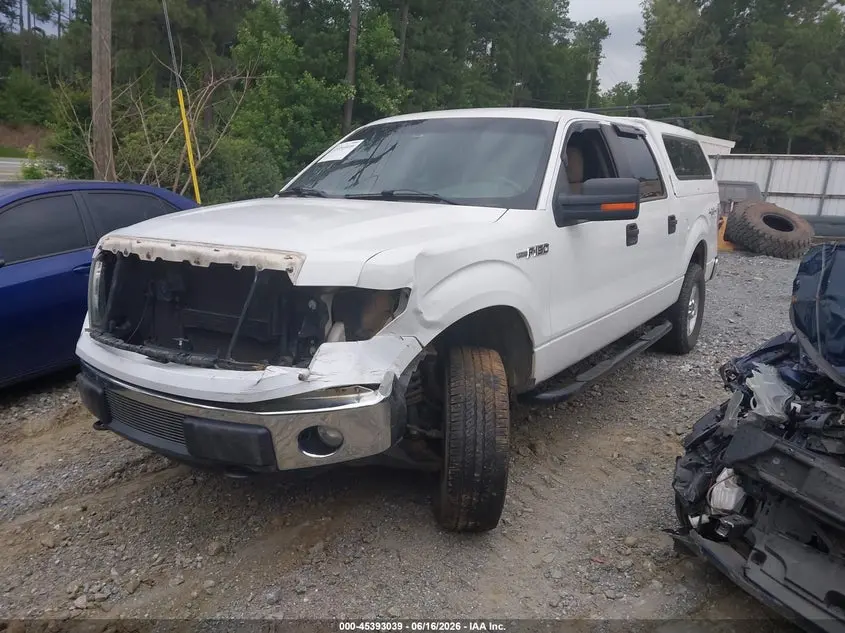 2012 FORD F-150 FX4/KING RANCH/LARIAT/PLATINUM/XL/XLT