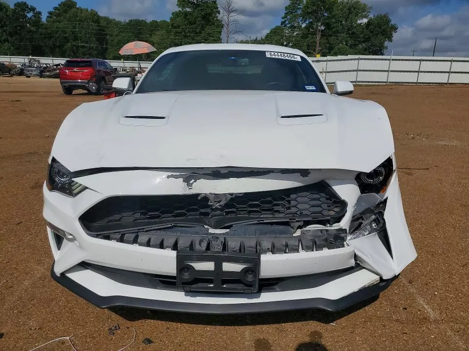 2019 FORD MUSTANG   