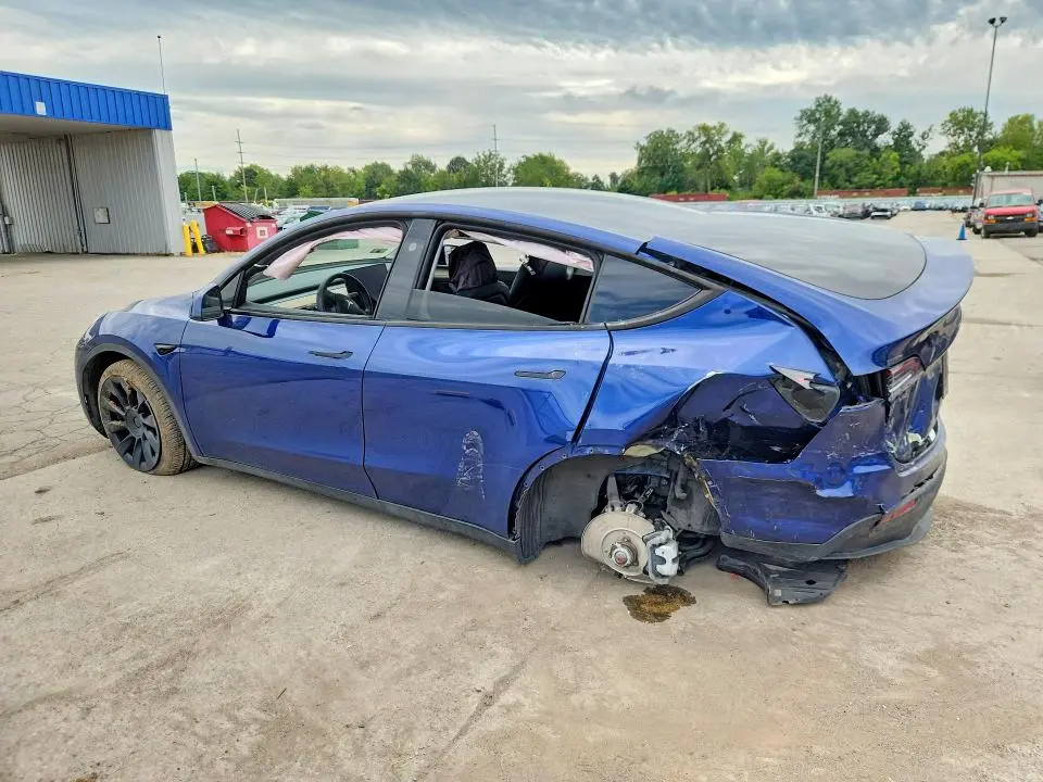2024 TESLA MODEL Y   