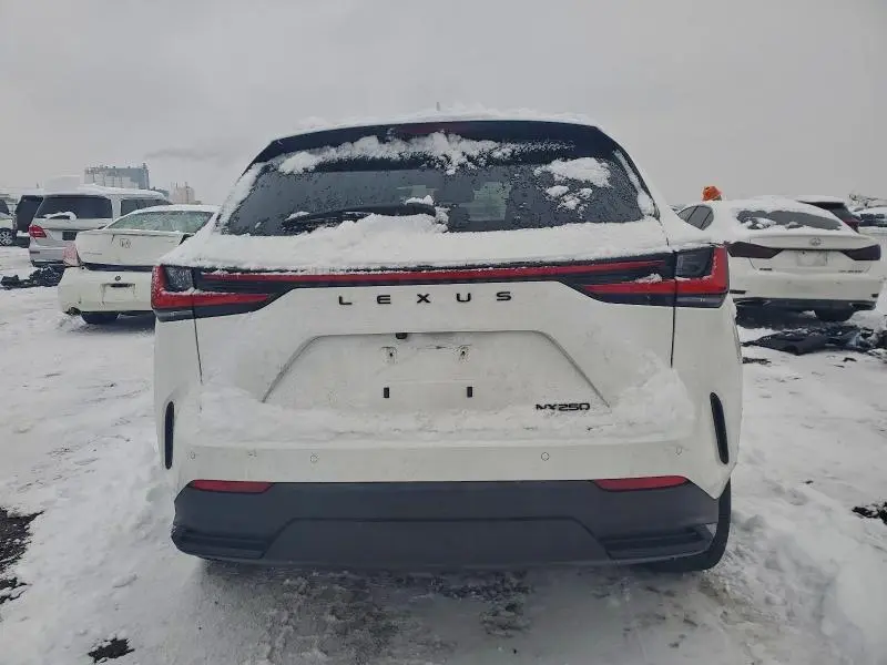 2024 LEXUS NX 250 PREMIUM  