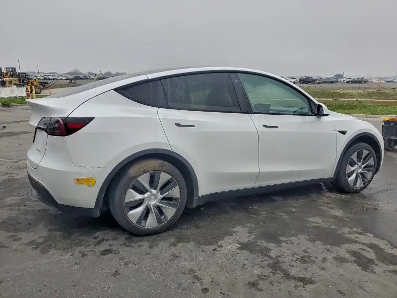 2020 TESLA MODEL Y   