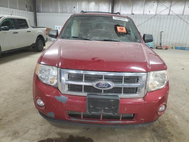 2011 FORD ESCAPE XLT