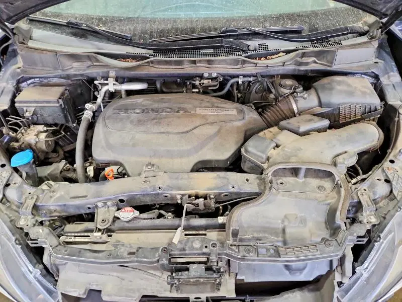 2019 HONDA ODYSSEY EXL  