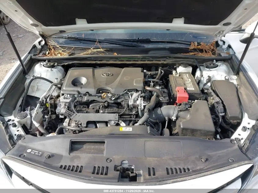 2020 TOYOTA CAMRY LE