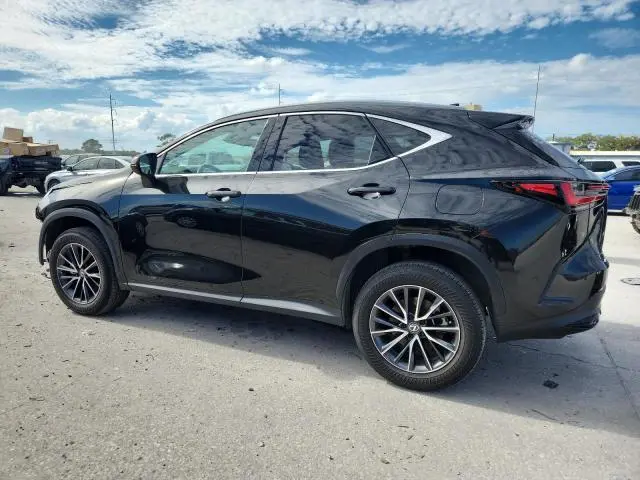 2024 LEXUS NX 250 BASE  