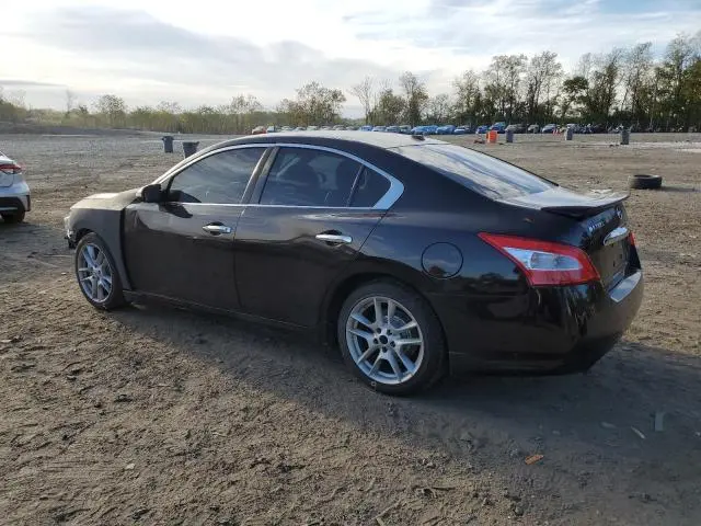 2011 NISSAN MAXIMA S  