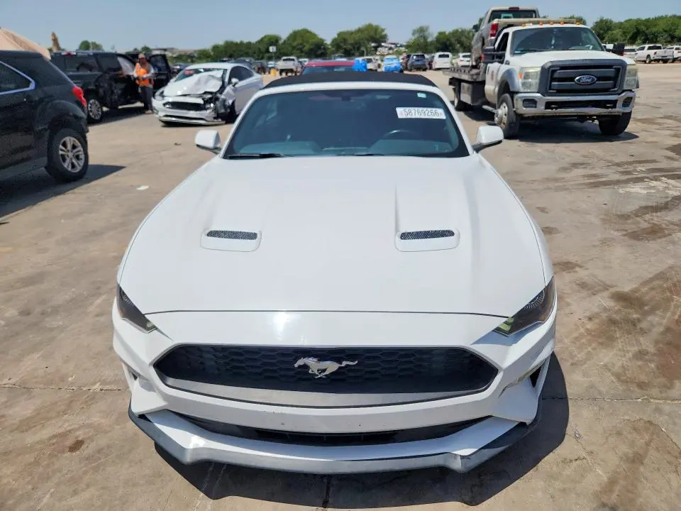 2019 FORD MUSTANG   