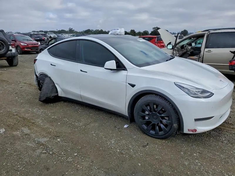 2021 TESLA MODEL Y   