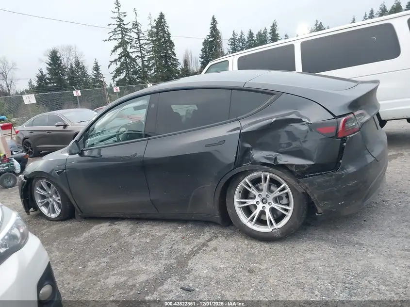 2024 TESLA MODEL Y RWD
