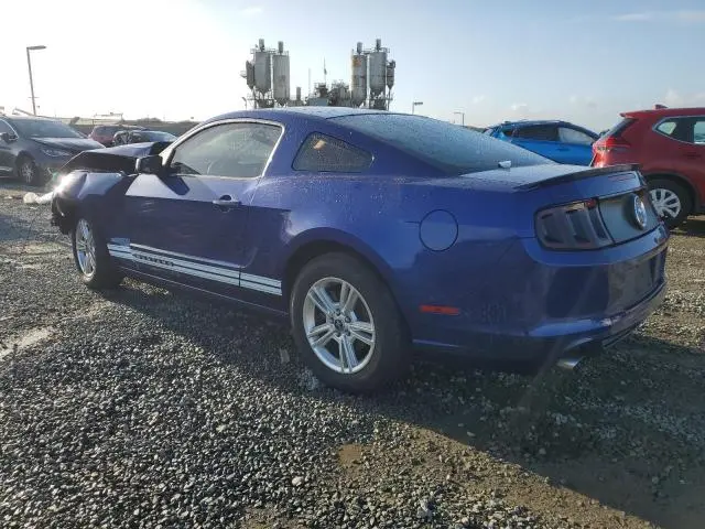 2013 FORD MUSTANG 