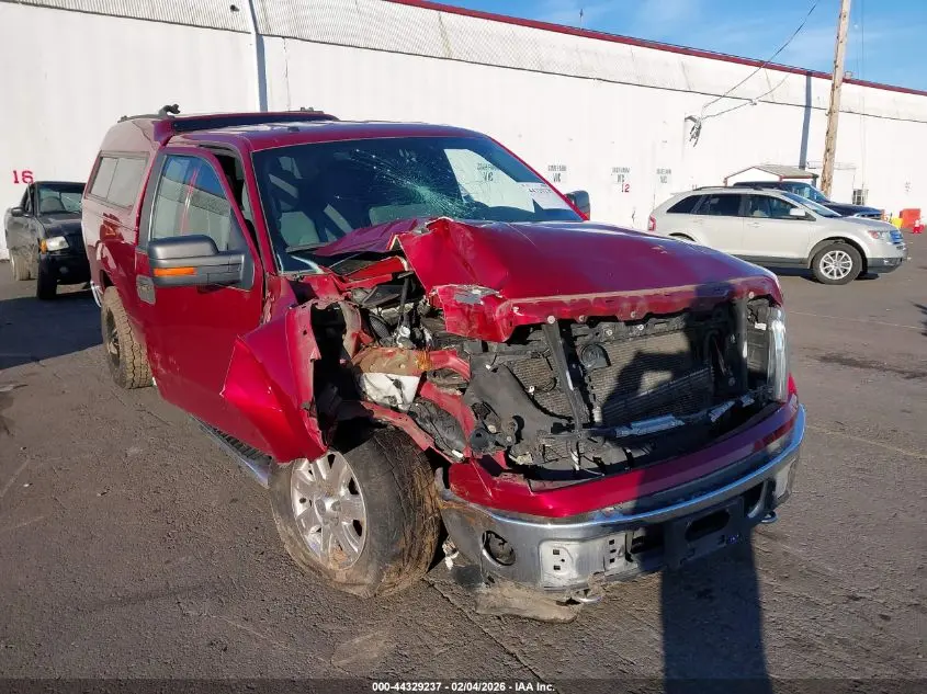 2014 FORD F-150 XLT
