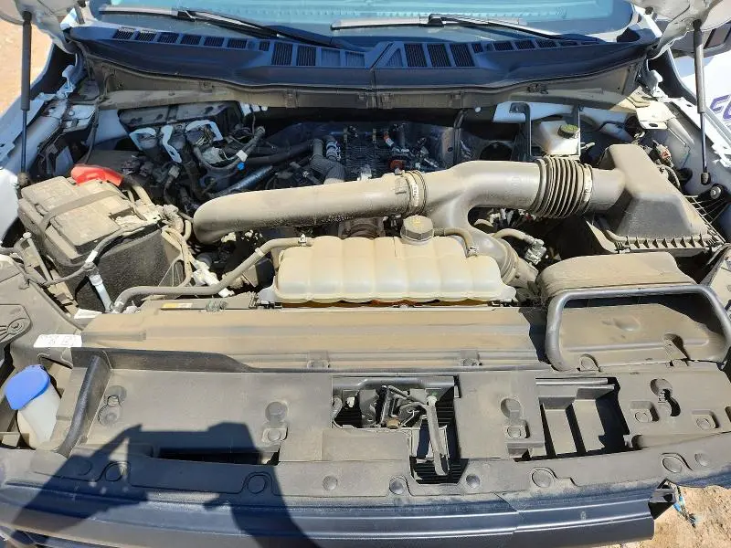 2025 FORD F150 XL  