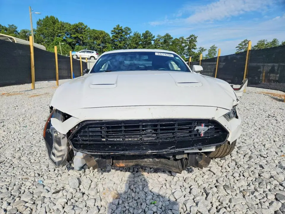 2019 FORD MUSTANG GT  