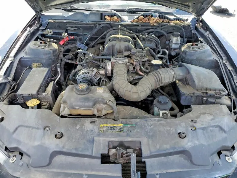 2010 FORD MUSTANG   