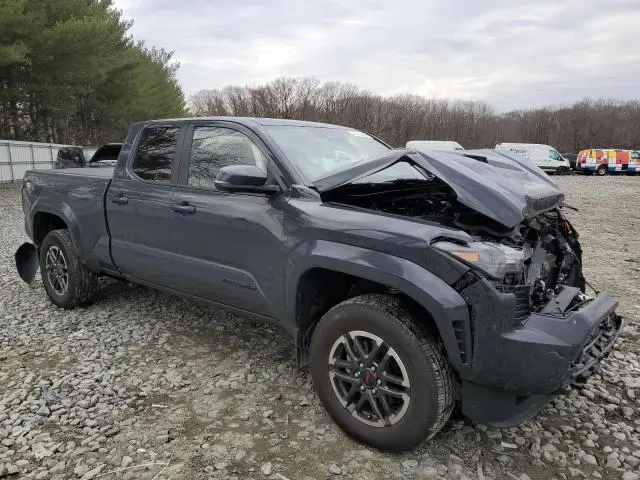 2024 TOYOTA TACOMA DOUBLE CAB  