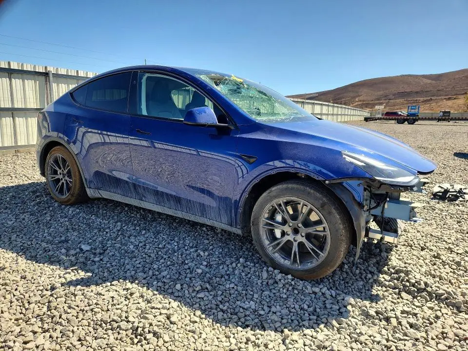 2025 TESLA MODEL Y   