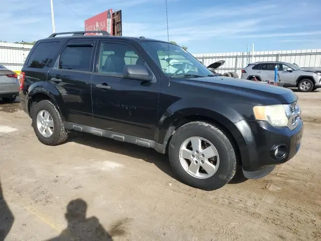 2011 FORD ESCAPE XLT