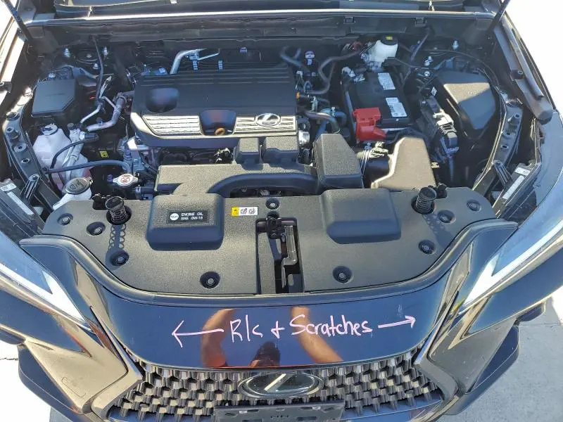 2025 LEXUS NX 250 BASE  