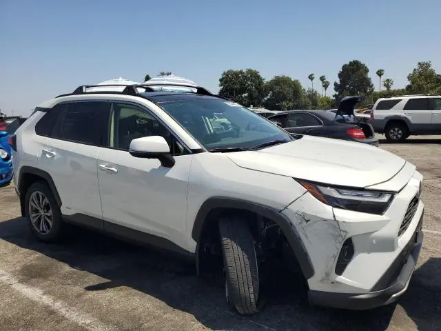 2024 TOYOTA RAV4 LIMITED  
