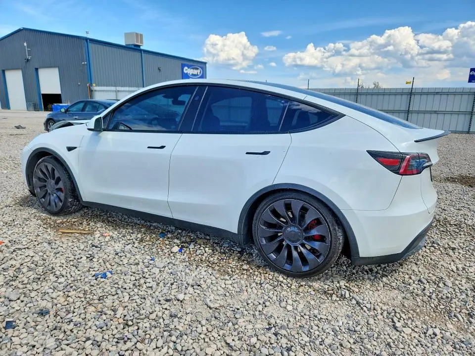 2023 TESLA MODEL Y   